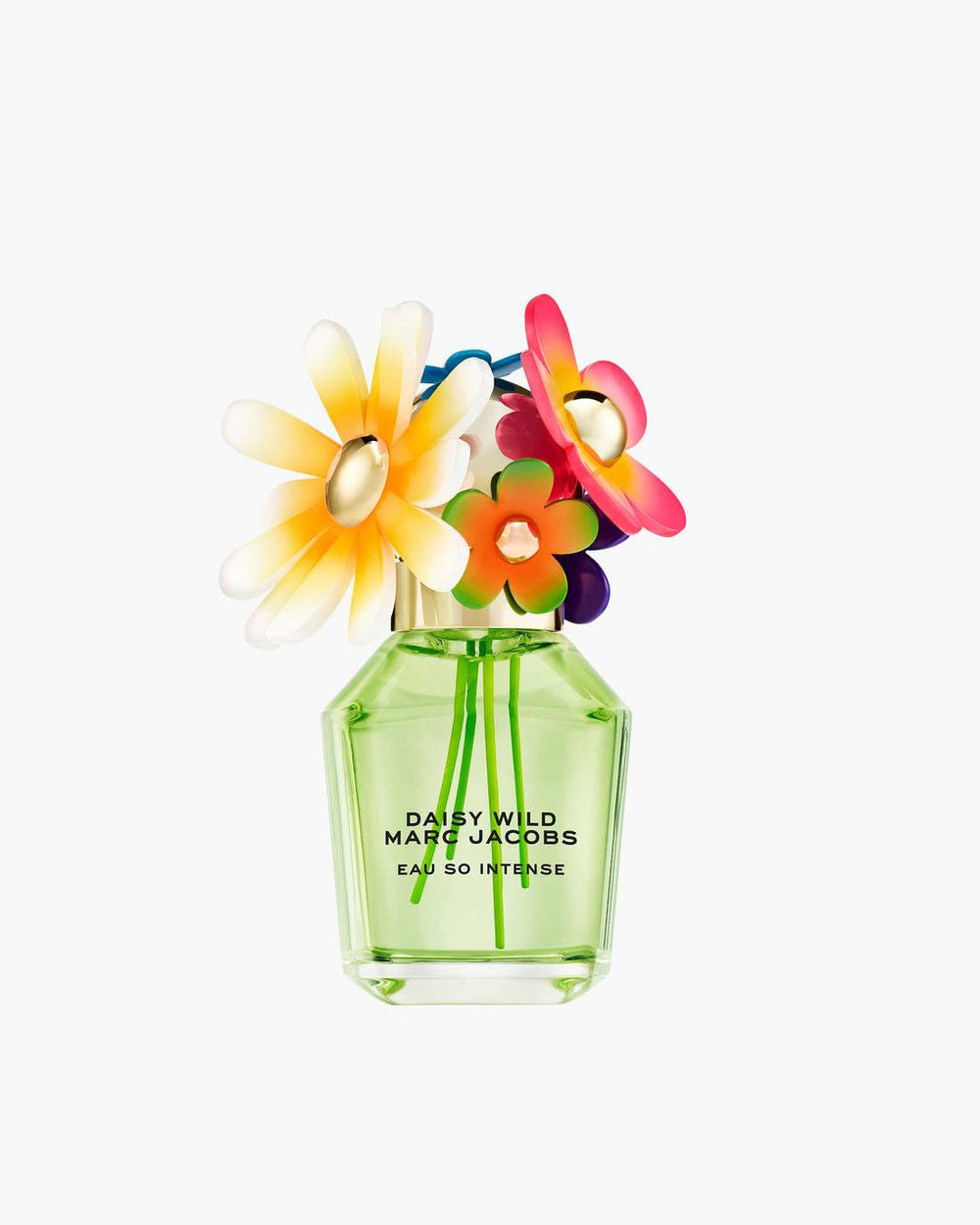 Daisy Wild Intense Eau De Parfum 50 mL No Color