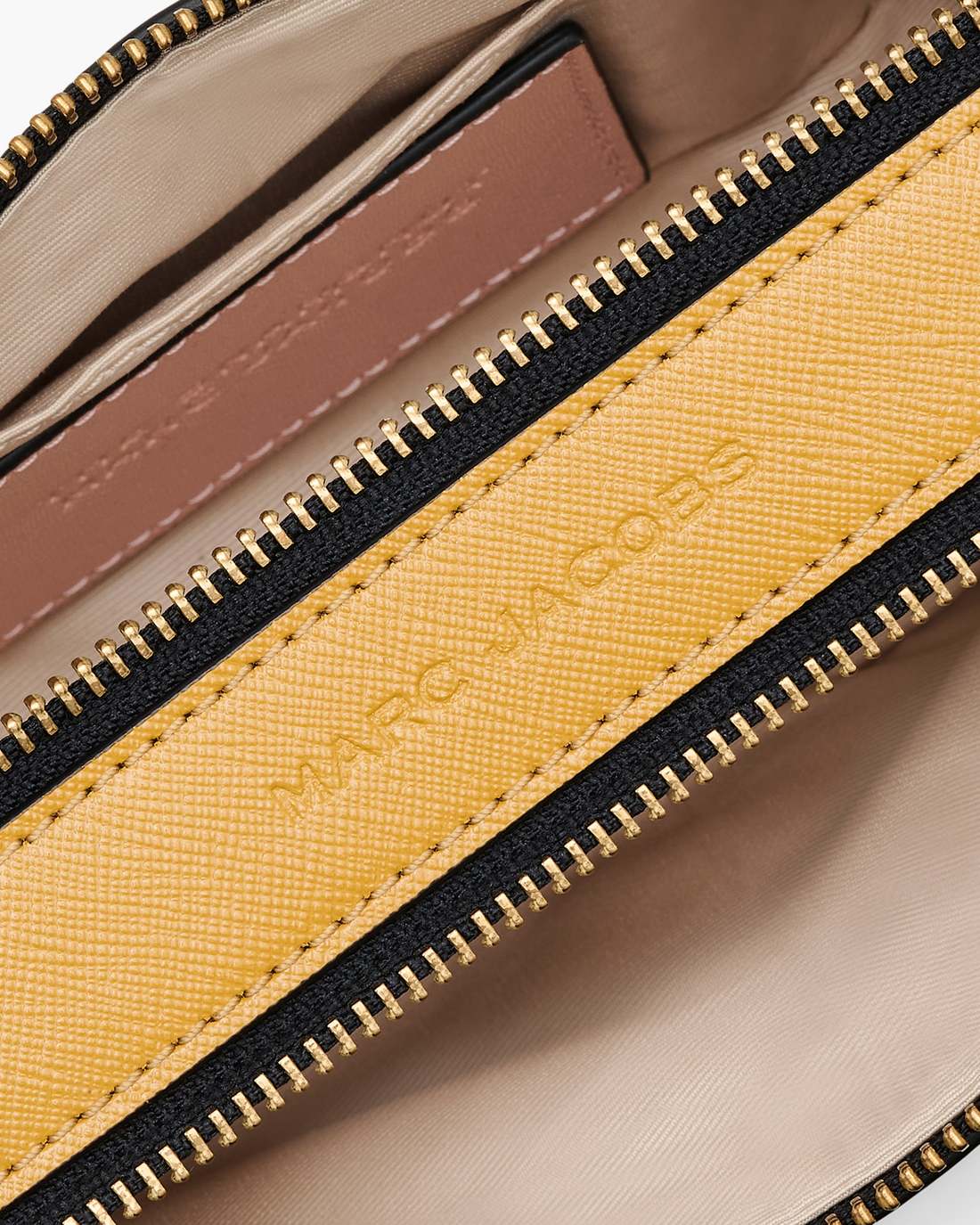 The Snapshot Rose Multi