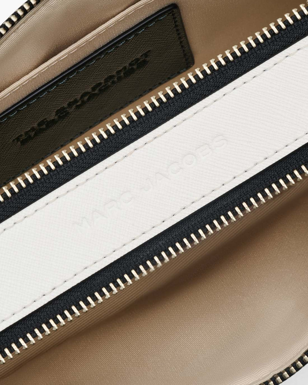 The Snapshot Ivy Multi