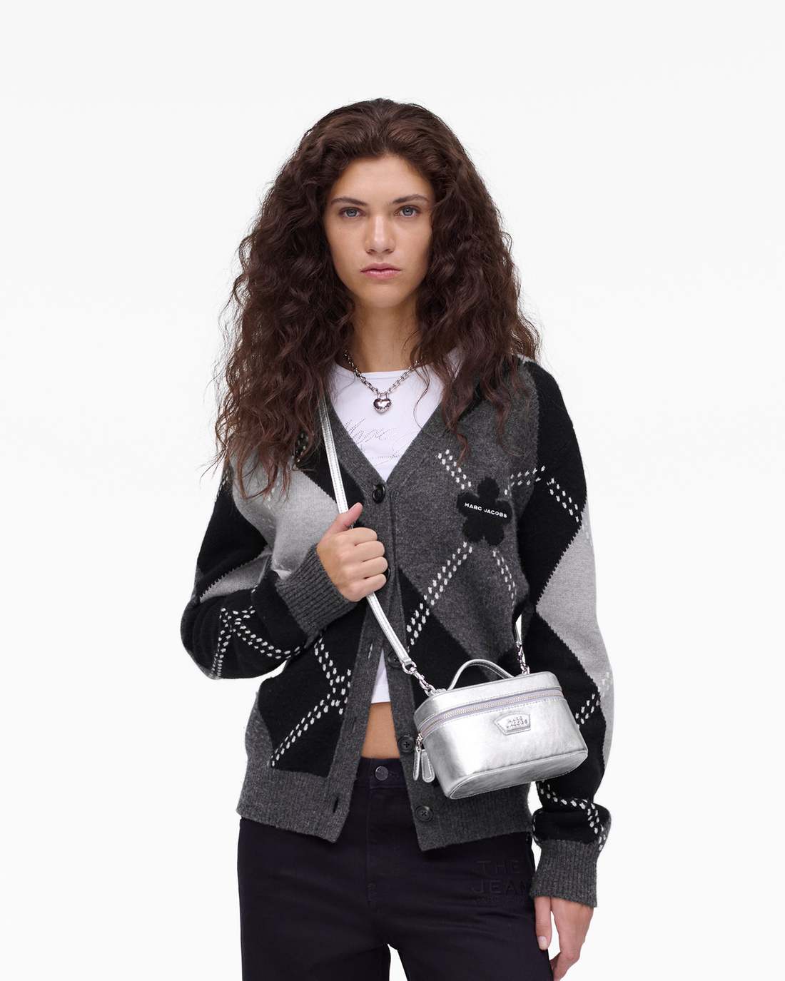 The Metallic Everyday Vanity Bag Silver